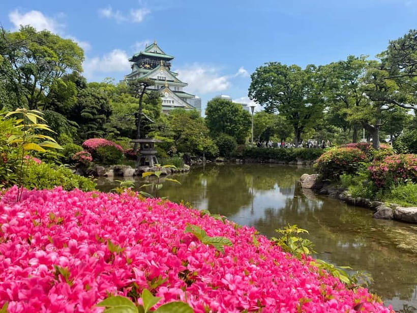Osaka: City Highlights Bike Tour - Nakanoshima’s gardens and European-style buildings