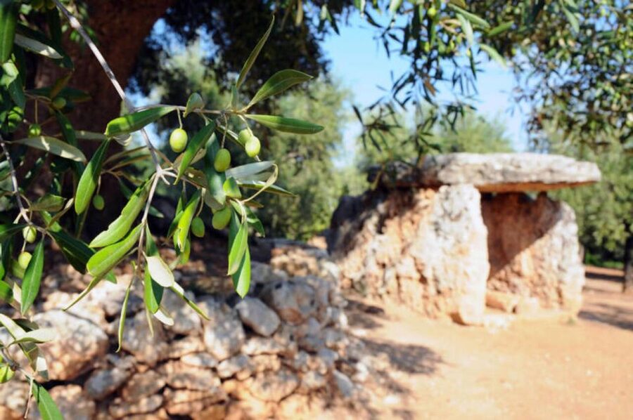 Ostuni: E-bike Tour, Ancient Olive Trees & Oil Tasting - Why this ride gives you a better look at Ostuni