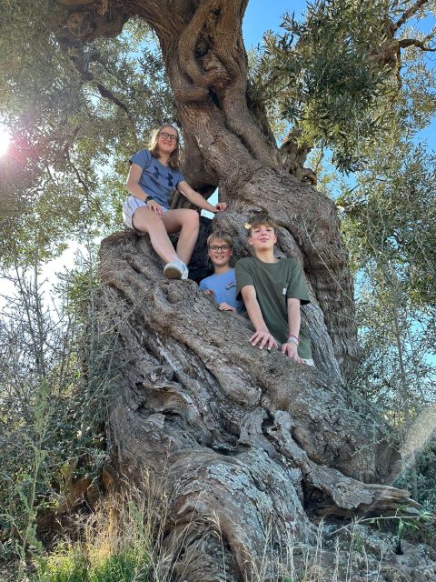 Ostuni: E-bike Tour, Ancient Olive Trees & Oil Tasting - Rolling through centuries-old olive trees