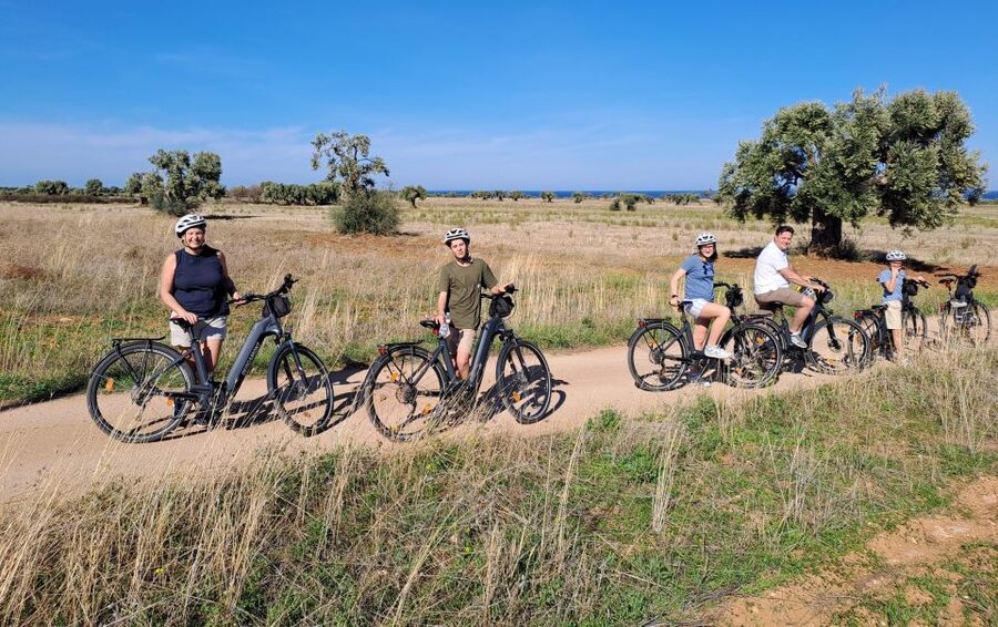 Ostuni: E-bike Tour, Ancient Olive Trees & Oil Tasting - The Montalbano Dolmen and a short Via Francigena walk