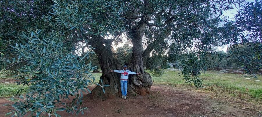 Ostuni: Guided e-bike tour + countryside tasting stop - Who will enjoy this Ostuni e-bike tour?