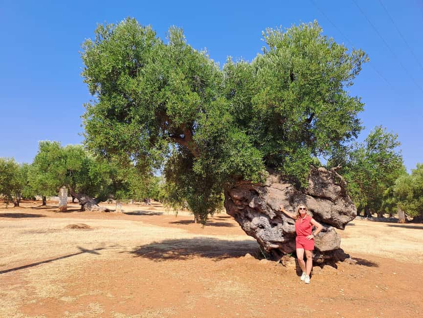 Ostuni: Guided e-bike tour to rock village & olive trees - Summer heat and what to bring