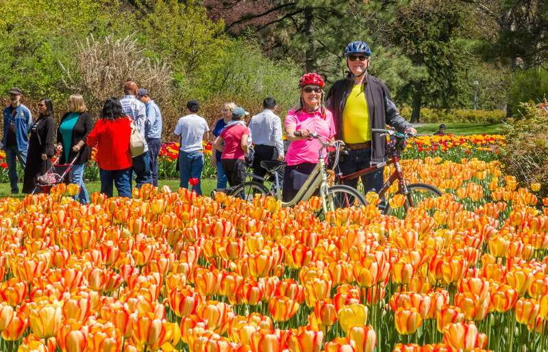 Ottawa: 2 or 3.5-Hour Guided Bike Tour with a Local Guide - The 2-hour route, a well-paced introduction