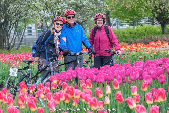 Ottawa Highlights 3.5 Hour Bike Tour - The Arboretum, Central Experimental Farm, and wildlife areas