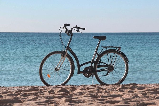 Palma de Mallorca Easy Bike Tour (Small Groups) - Parc de la Mar, with La Seu above you