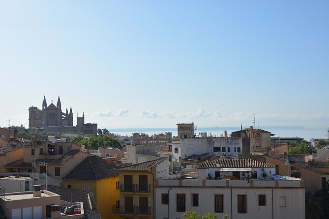 Palma de Mallorca Easy Bike Tour (Small Groups) - Guides, pace, and the human side of the ride