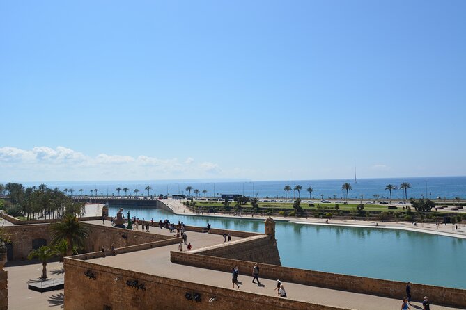 Palma de Mallorca Easy Bike Tour (Small Groups) - Sa Llotja and Palma’s seafaring past