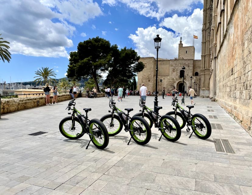Palma: Guided City Tour with a Fat Tire E-Bike - Reaching El Molinar and the bay views