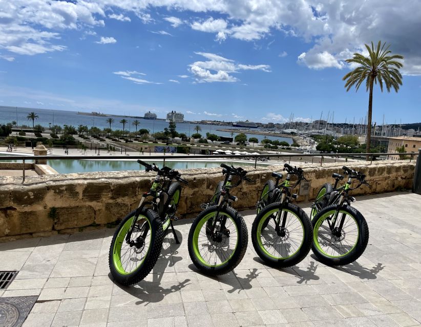 Palma: Guided City Tour with a Fat Tire E-Bike - Is the $41 price worth it?