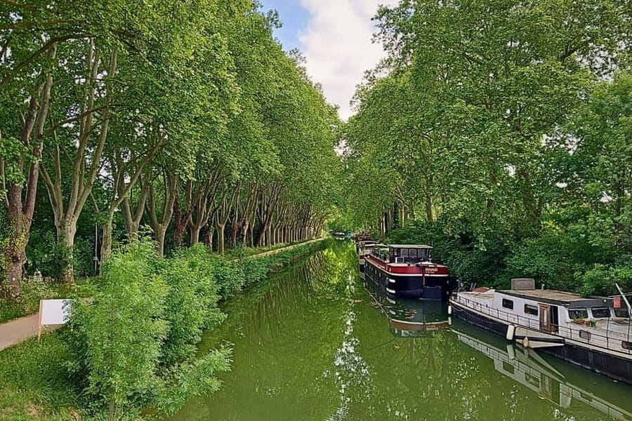 Panoramic Toulouse, e-bike ride, and cable car - Who should book the Toulouse e-bike and Téléo tour?