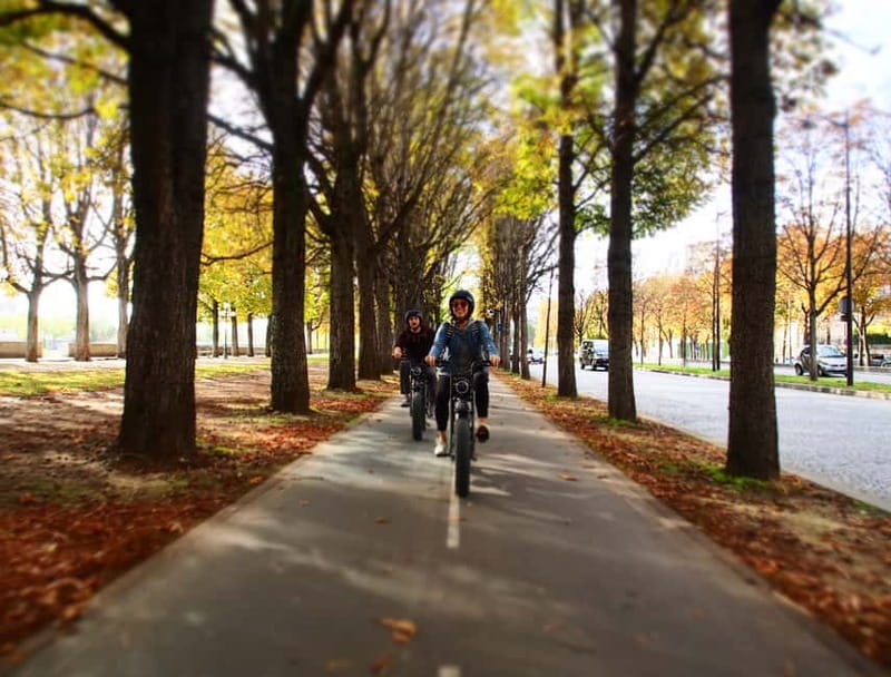 Paris: City Highlights Private Electric Bike Tour - Grand Palais and Place de la Concorde
