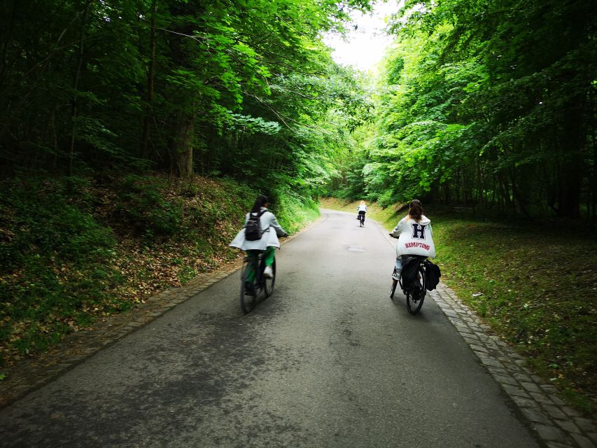 Paris: Versailles Palace and Queen Hamlet E-Bike Tour - The Palace of Versailles in 75 minutes