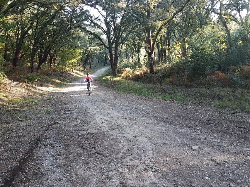 Peneda Gerês National Park: Self-Guided Electric Bike Tour - A five-hour ride through Portugal’s only national park