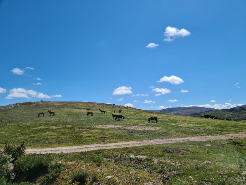 Peneda Gerês National Park: Self-Guided Electric Bike Tour - From Tobogã Base to the Lima River