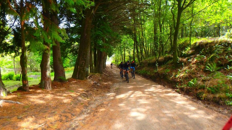 Peneda Gerês National Park: Self-Guided Electric Bike Tour - Food, water, and the small details that matter