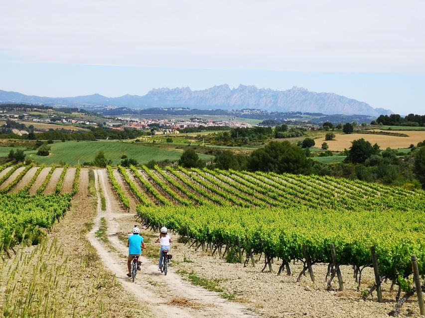 Penedès/BCN: Self-Guided eBike Tour with guided Winery Visit - Collecting Your Bike with Albert