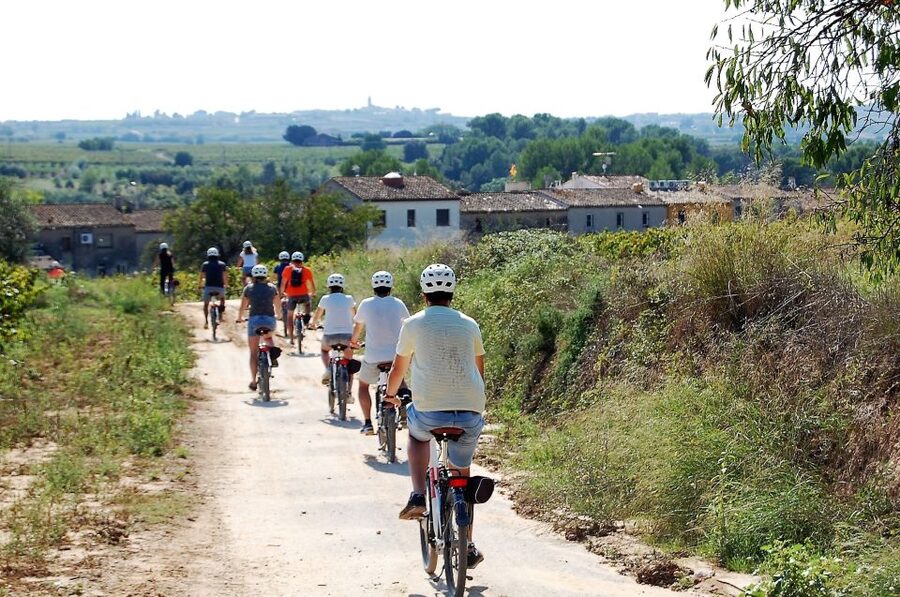 Penedès/BCN: Self-Guided eBike Tour with guided Winery Visit - Should You Book the Penedès eBike Tour?