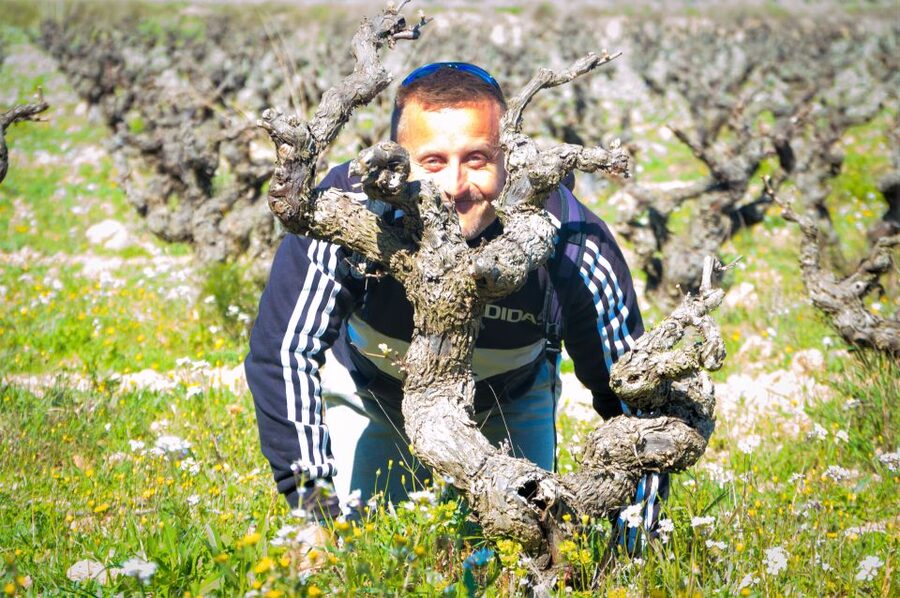 Penedès/BCN: Self-Guided eBike Tour with guided Winery Visit - Riding the Quiet Vineyard Routes
