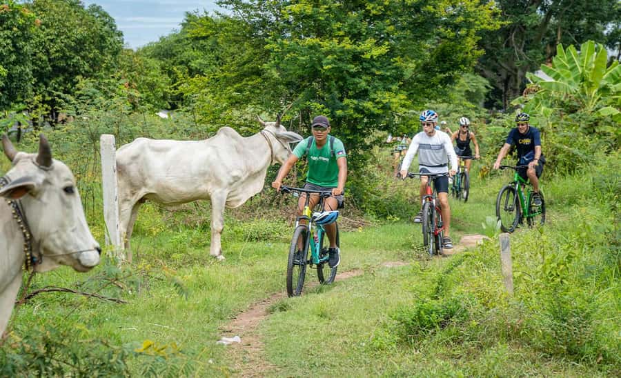 Phnom Penh: Silk Islands Half-Day Bike Tour - How the day feels in different group sizes
