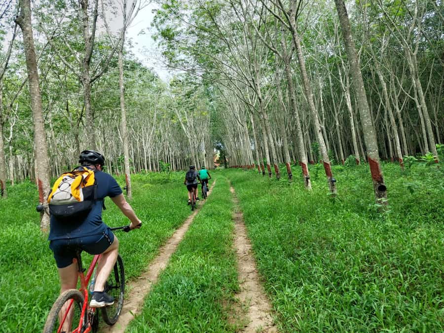 Phuket: Half-Day Countryside Cycling Tour with Lunch - Key points to know before booking