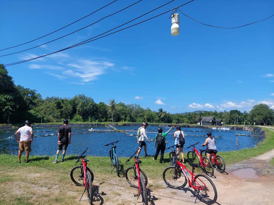 Phuket: Half-Day Countryside Cycling Tour with Lunch - Who will enjoy this half-day ride