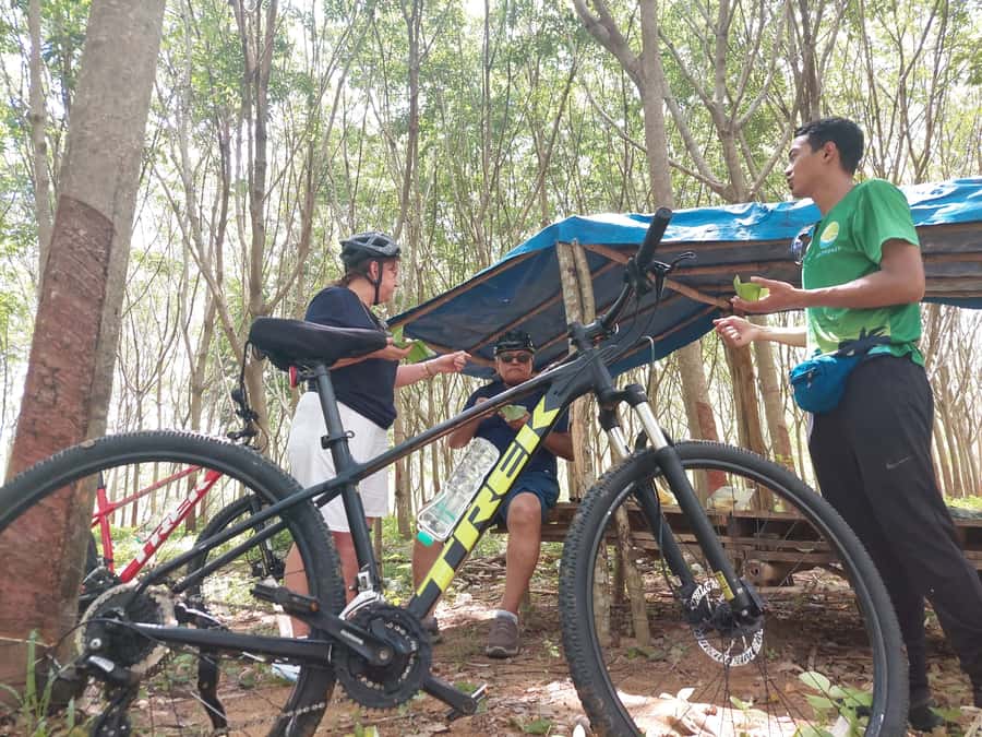 Phuket: Half-Day Countryside Cycling Tour with Lunch - Why this ride shows you a different Phuket