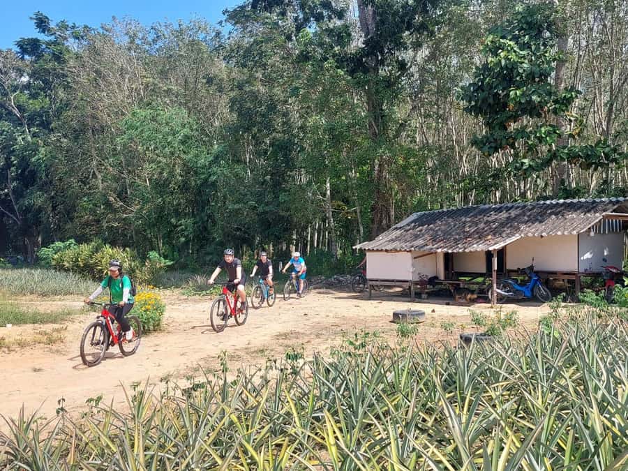 Phuket: Half-Day Countryside Cycling Tour with Lunch - Reaching Laem Sai for lunch above the sea