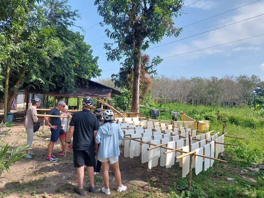 Phuket: Half-Day Countryside Cycling Tour with Lunch - The practical side of riding in Phuket