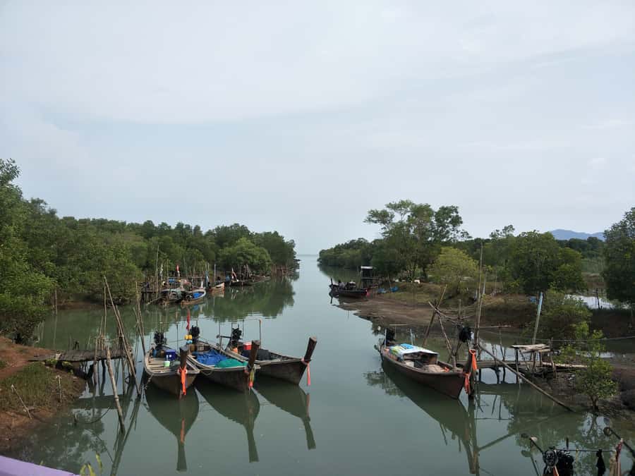 Phuket: Yao Island Cycling and Beach Day-Trip - Why Koh Yao Noi works so well for a cycling day