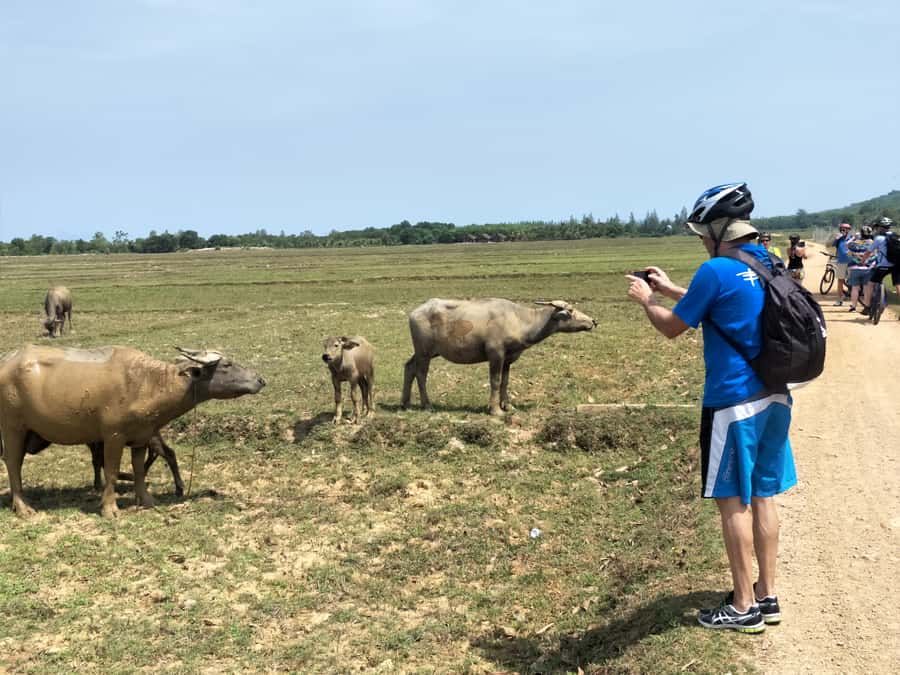 Phuket: Yao Island Cycling and Beach Day-Trip - Who should book this cycling trip