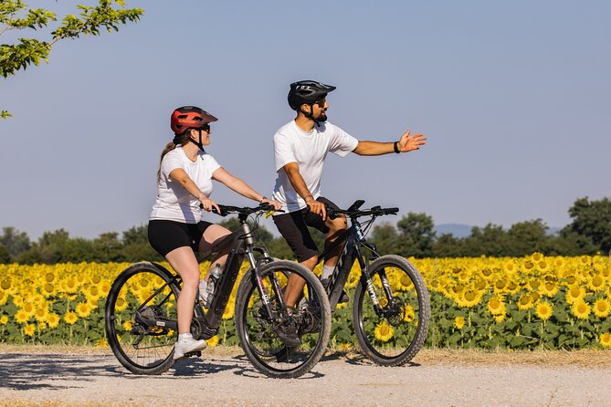 Pienza - Ebike tour for a full immersion in Val d'Orcia. - Rolling roads, wheat, lavender, and film country
