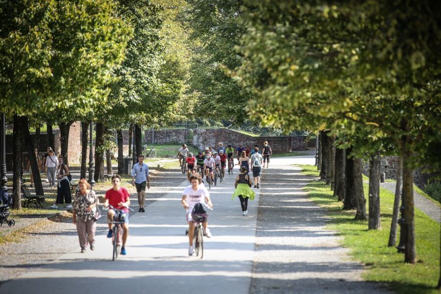 Pisa: Self-Guided Bike Tour to Lucca - Bikes, Electric Assistance, and Navigation