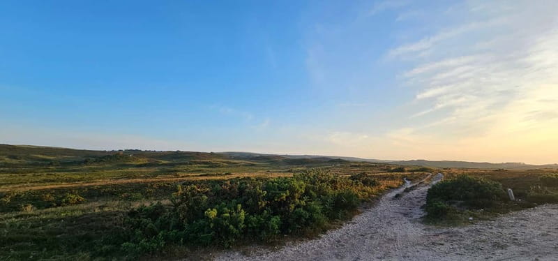 Poole: Old Harry Rocks and Corfé Castle Guided E-bike Tour - Why an e-bike is the right tool for this Dorset route