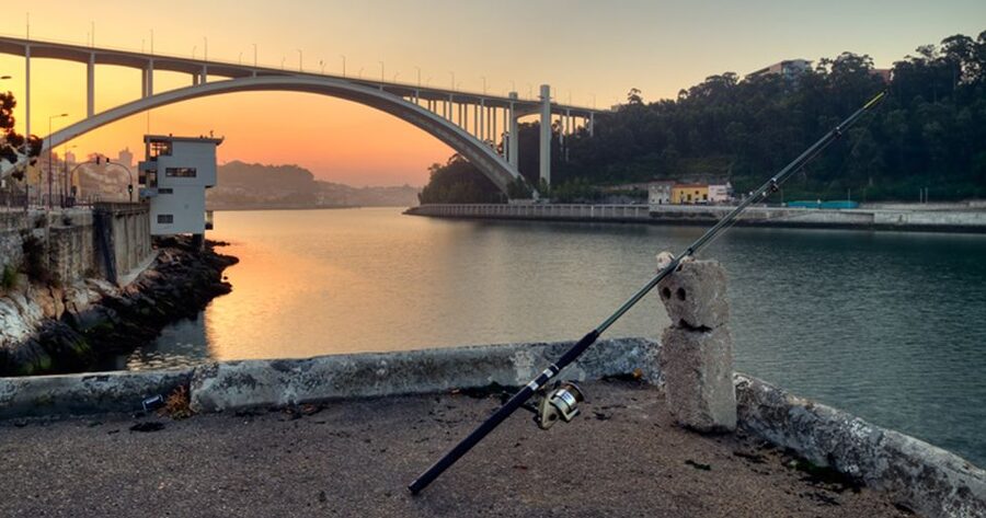 Porto: 3-Hour Bike Tour - Who should book this Porto bike tour?