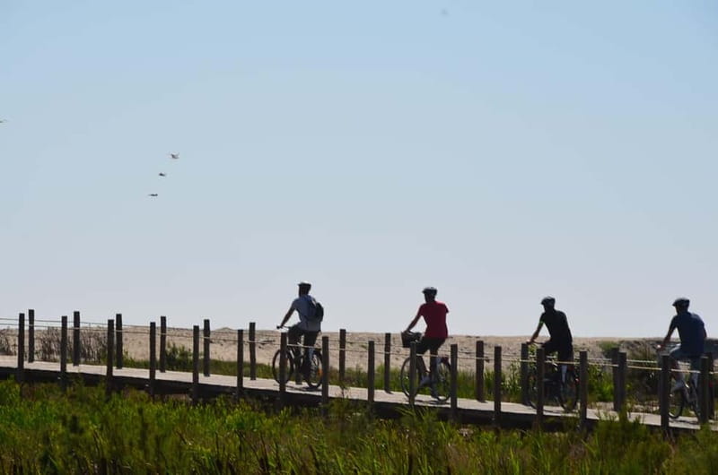 Porto: Porto Bike or E-Bike Atlantic Route - Forest paths, marshes, and small towns