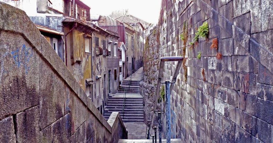 Porto: Private Bike Tour with a Local Guide - Pedaling through City Park and Pasteleira Park