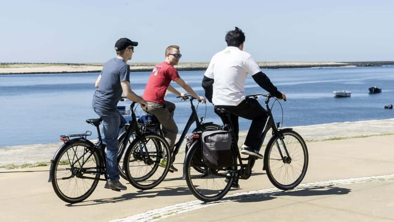 Porto Private E-Bike Tour: Douro River, Parks & Beaches - Why this route shows you more than central Porto