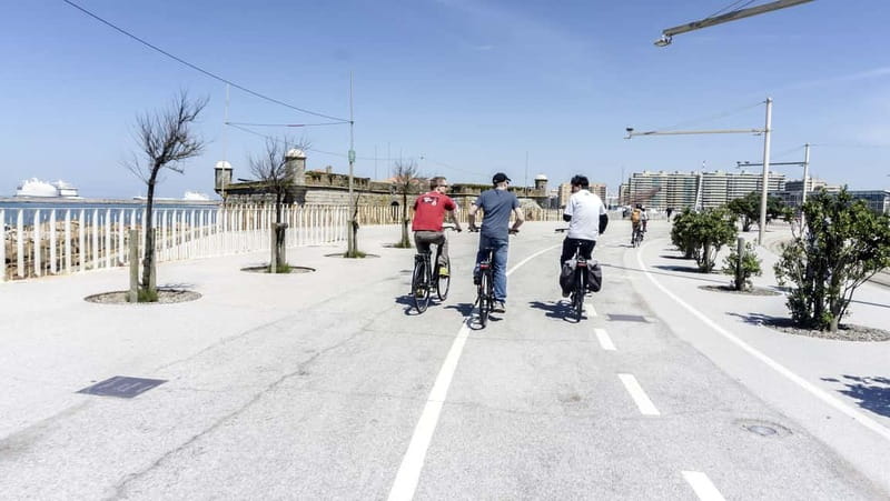 Porto Private E-Bike Tour: Douro River, Parks & Beaches - From the mural to Alfândega and Cais das Pedras