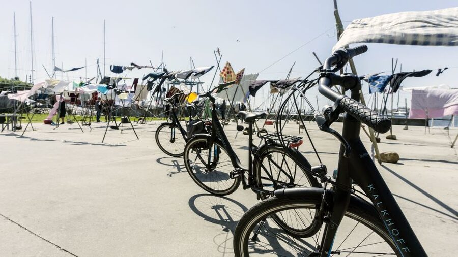 Porto Private E-Bike Tour: Douro River, Parks & Beaches - Parque da Cidade and the quieter return