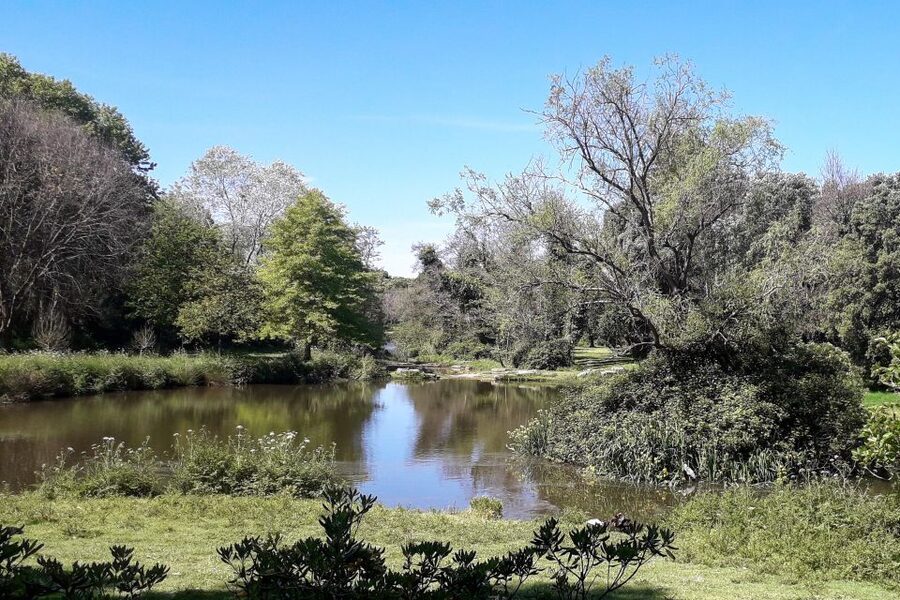 Porto Riverbank Tour on an e-bike: Atlantic Coast, Gardens - The value of $57 per person