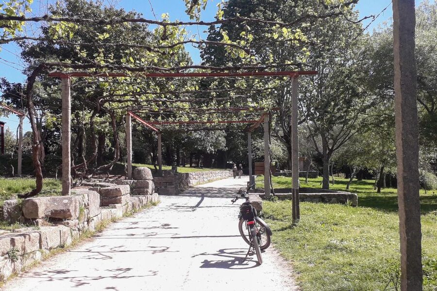 Porto Riverbank Tour on an e-bike: Atlantic Coast, Gardens - Porto’s parks provide a quieter return