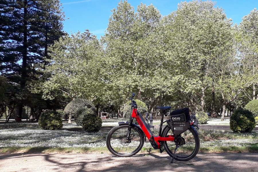 Porto Riverbank Tour on an e-bike: Atlantic Coast, Gardens - Massarelos and Porto’s historic finish