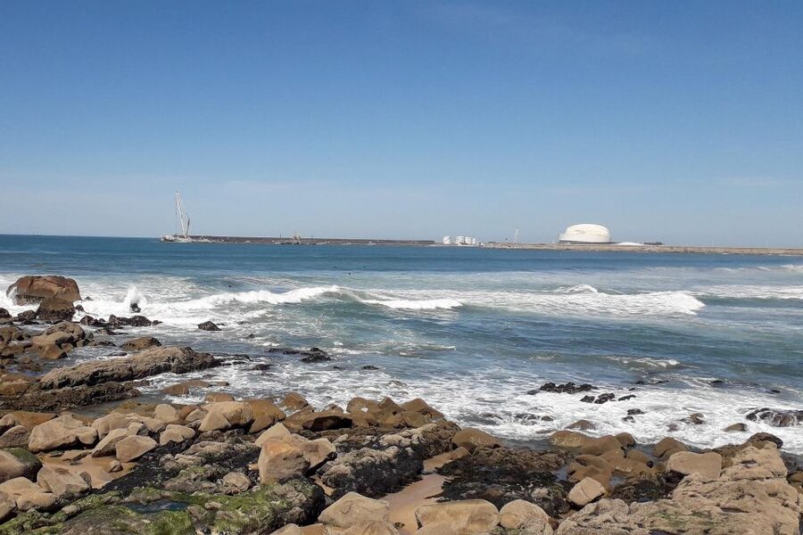 Porto Riverbank Tour on an e-bike: Atlantic Coast, Gardens - Jardim do Passeio Alegre marks the turn west