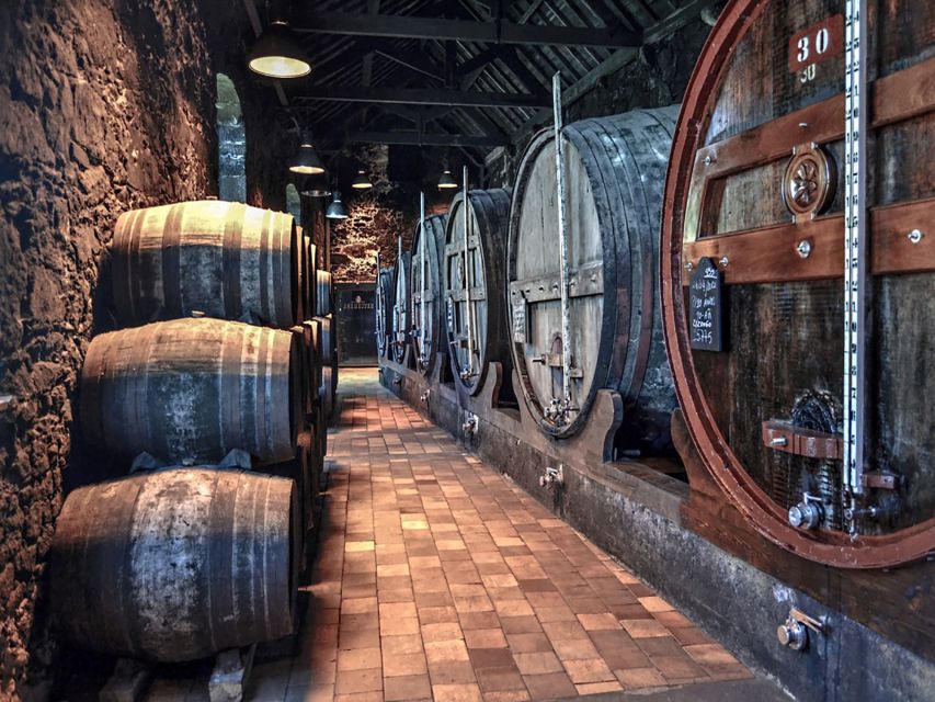 Porto: Self-Guided Bike and Boat Tour with Port Wine Tasting - Cycling the Douro Estuary Natural Reserve