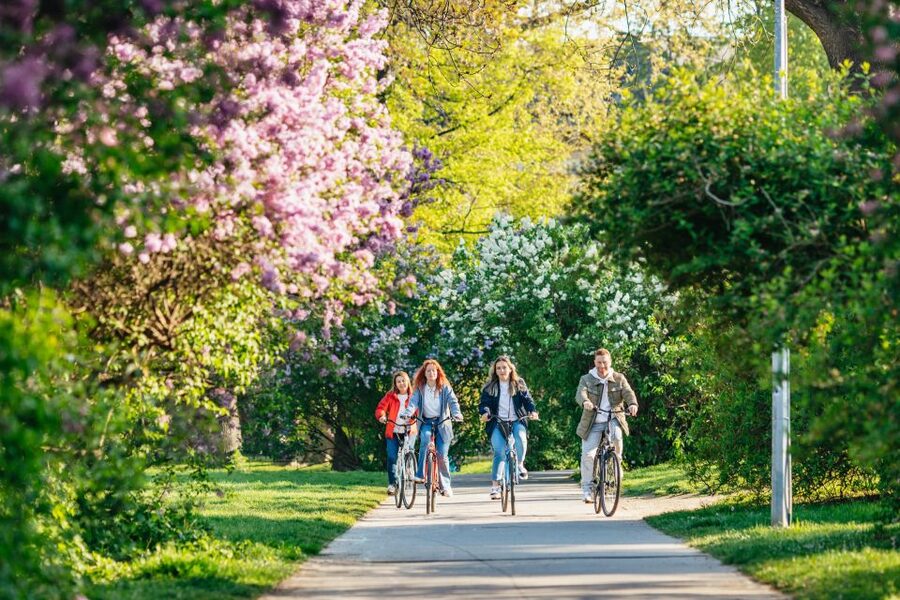 Prague: Complete Bike Tour - New Town and the stories of modern Prague