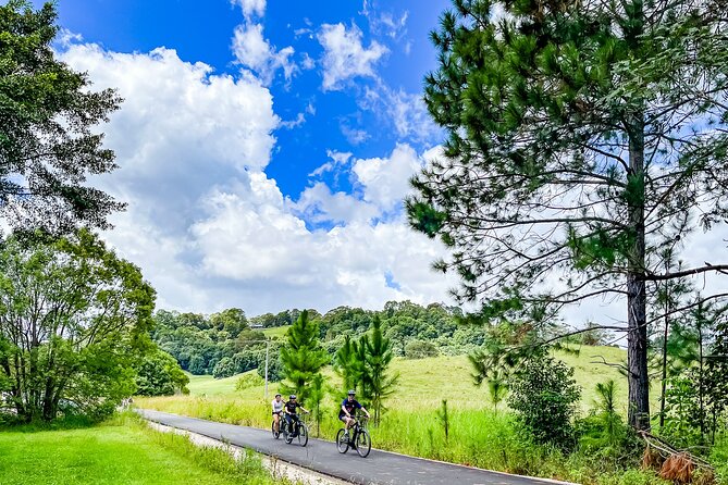 Premium E Bike Hire at the Northern Rivers Rail Trail - Key things to know before you ride