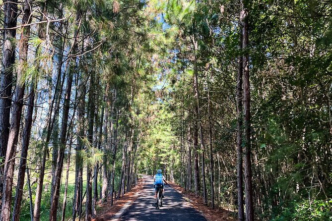 Premium E Bike Hire at the Northern Rivers Rail Trail - Crabbes Creek and Mooball: an easy start