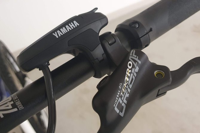 Premium eBike rental - Key points for choosing your Bodø eBike day