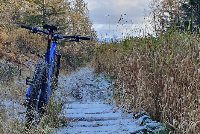 Premium eBike rental - Bodømarka and the trails near Maskinisten