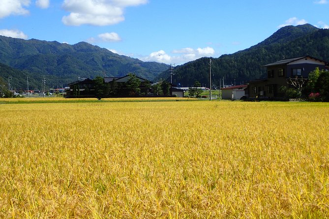 Private Afternoon Cycling Tour in Hida-Furukawa - Starting at 2:00 pm in Hida-Furukawa